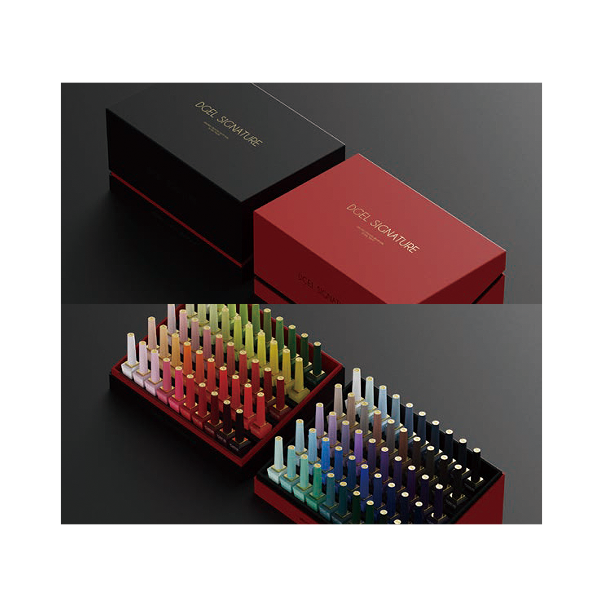 DGEL Signature 100 Piece Full Set - Including Swatch Chart